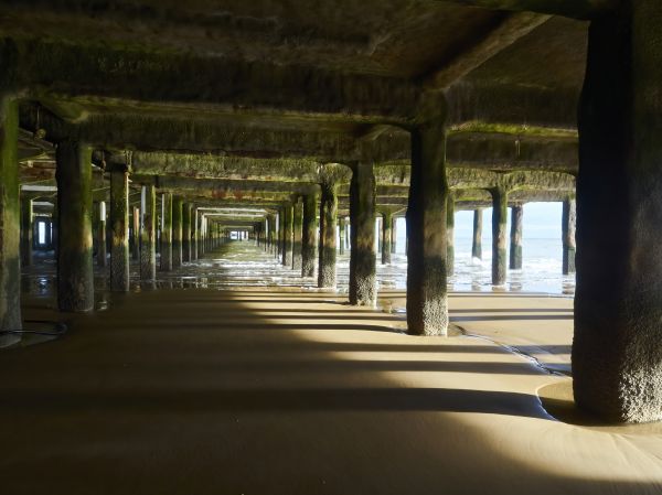 Concrete Pier Repair in Mill Valley